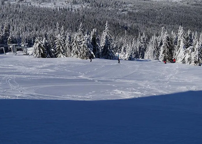 Schronisko Pttk Hala Szrenicka Hostel